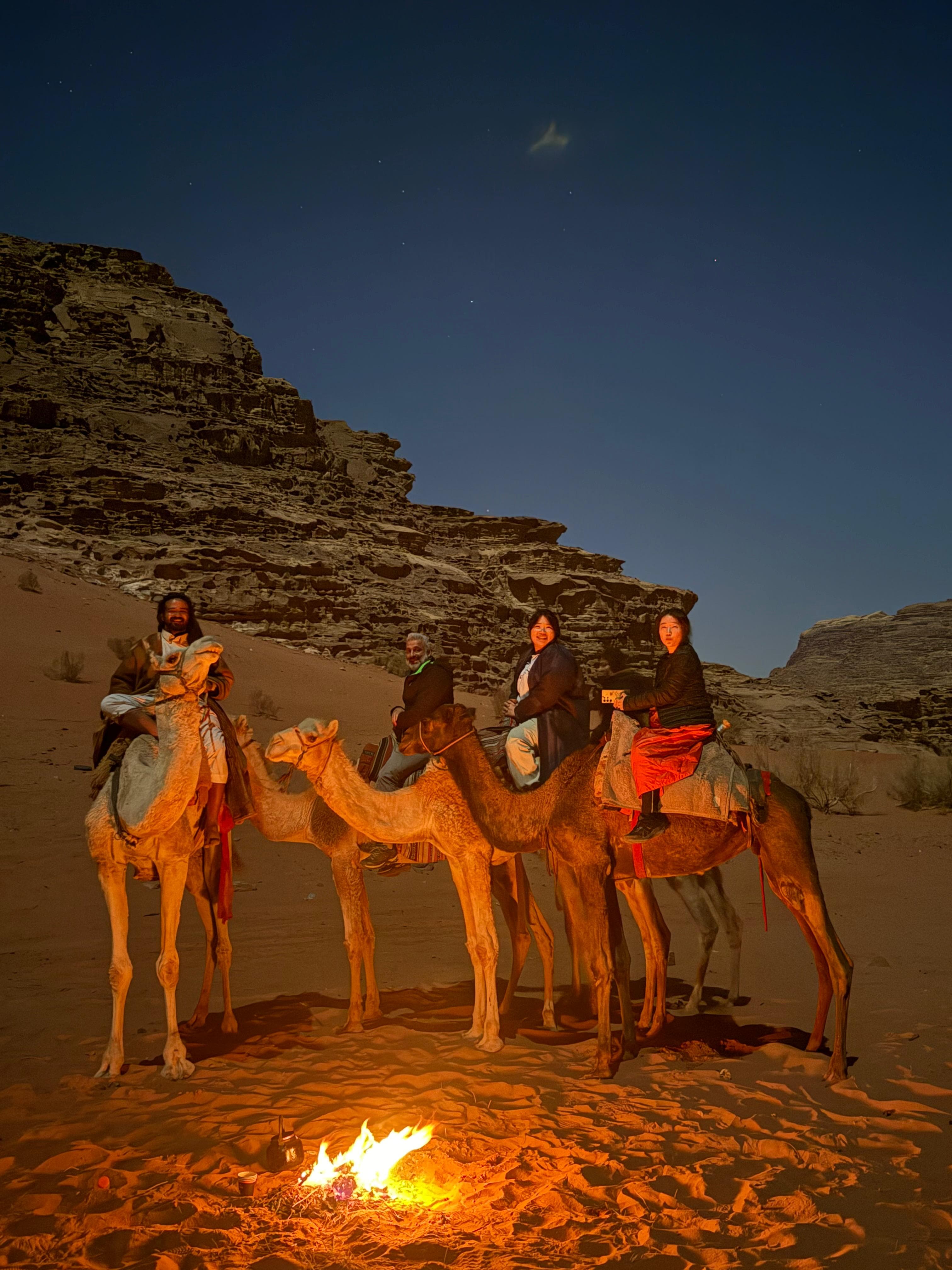 Desert Camel Trek